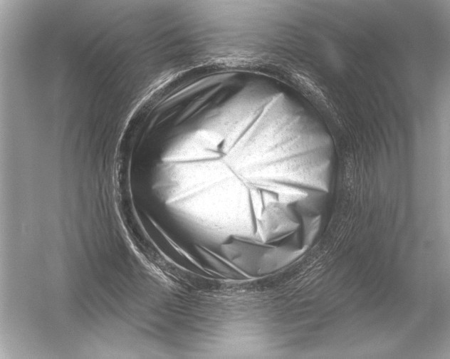 X0000051900730200507222041