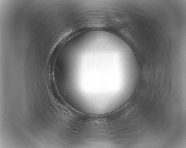 X0000051900731200507222041