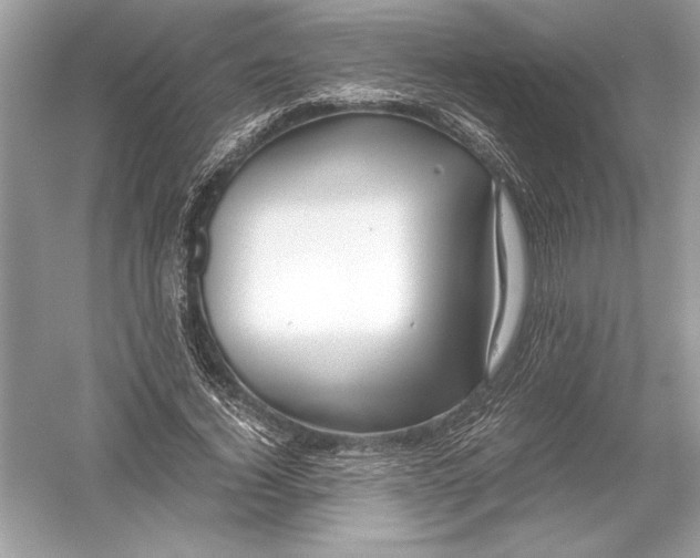 X0000051900732200507222041