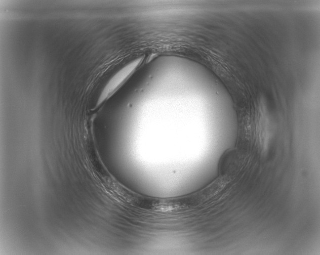 X0000051900746200507222041