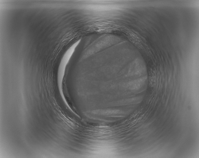 X0000051900748200507222041