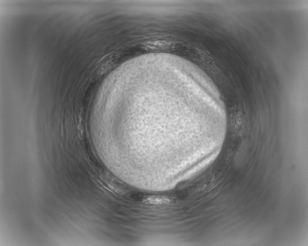 X0000051900749200507222041