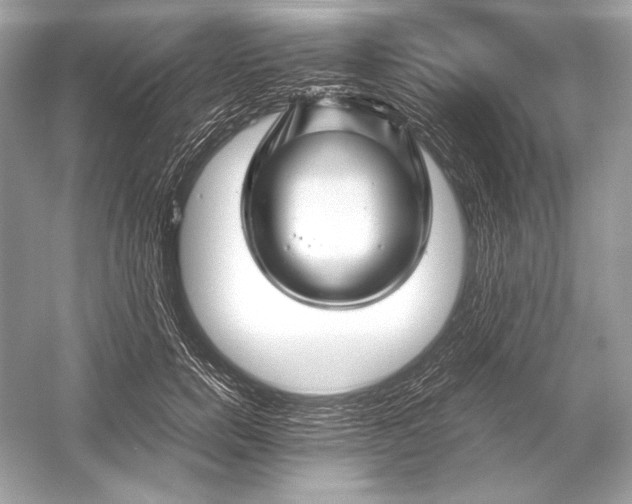 X0000051900750200507222041