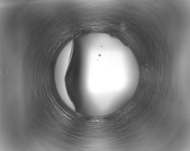 X0000051900752200507222042