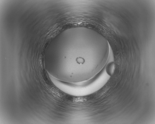 X0000051900754200507222042