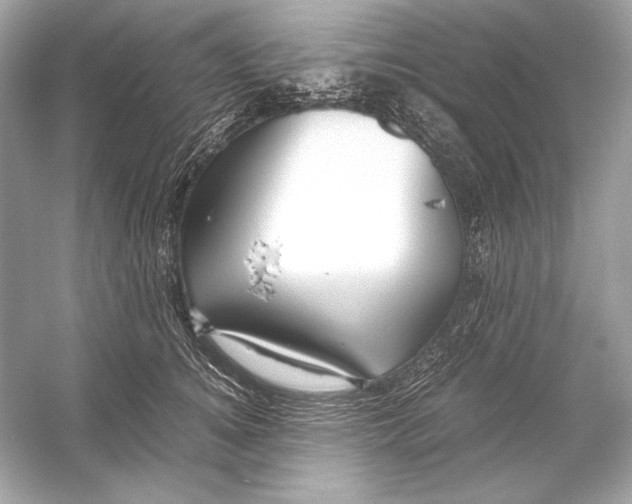 X0000051900756200507222042