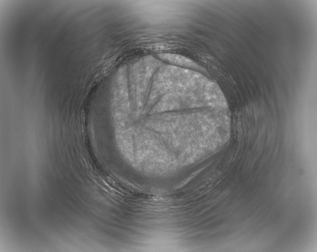 X0000051900760200507222042
