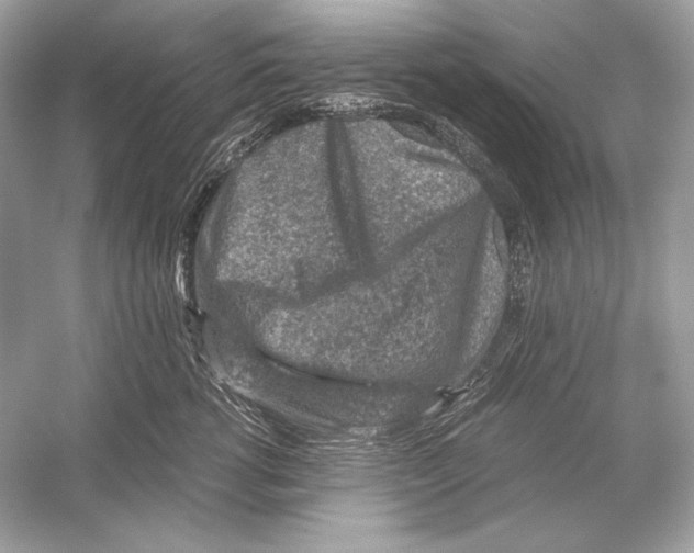 X0000051900762200507222042