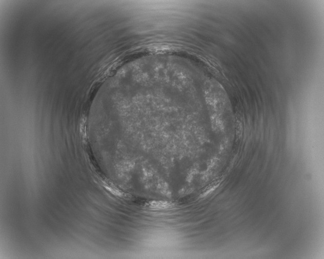 X0000051900766200507222042