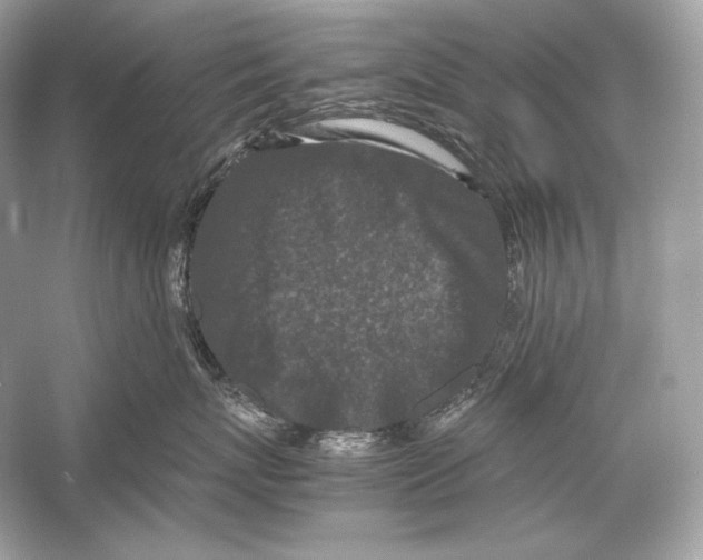 X0000051900767200507222042
