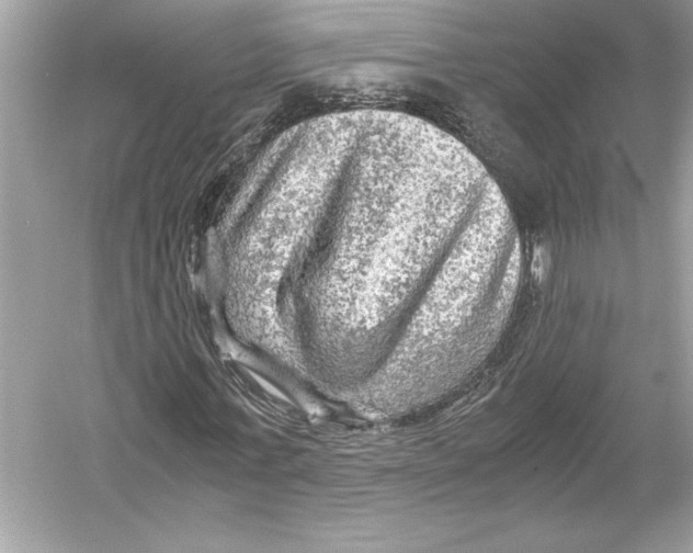 X0000051900771200507222041