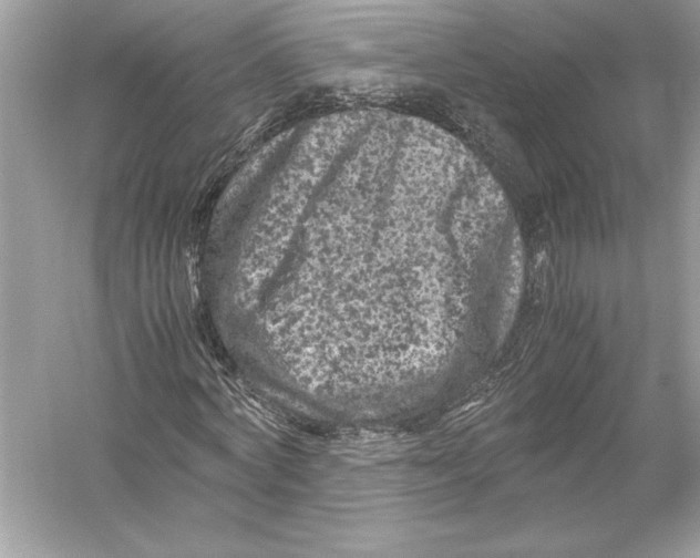 X0000051900772200507222041