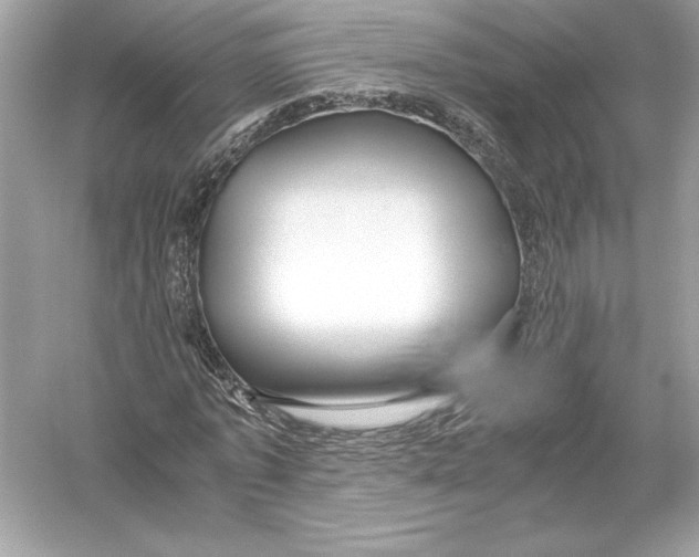 X0000051900773200507222041