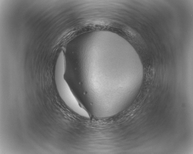 X0000051900774200507222041