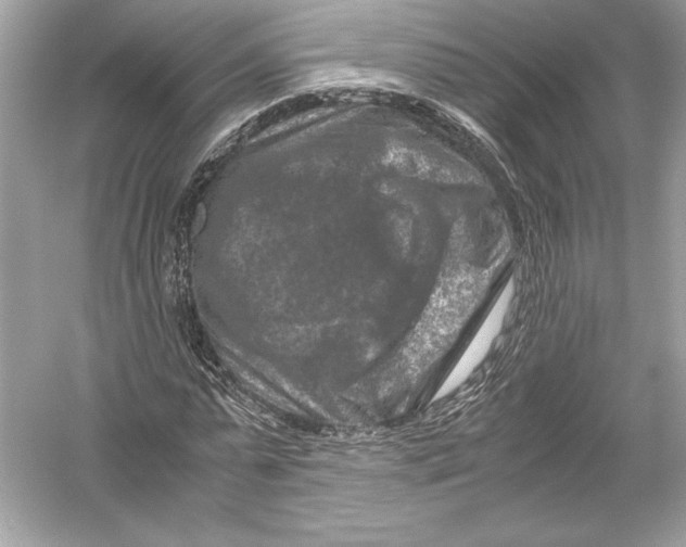 X0000051900775200507222041