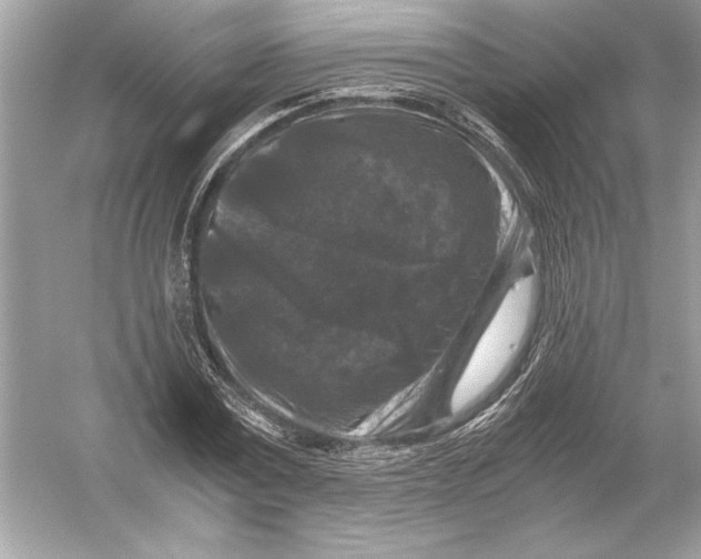 X0000051900779200507222041