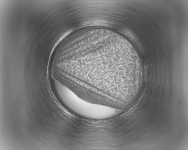 X0000051900780200507222041