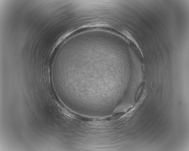 X0000051900781200507222041