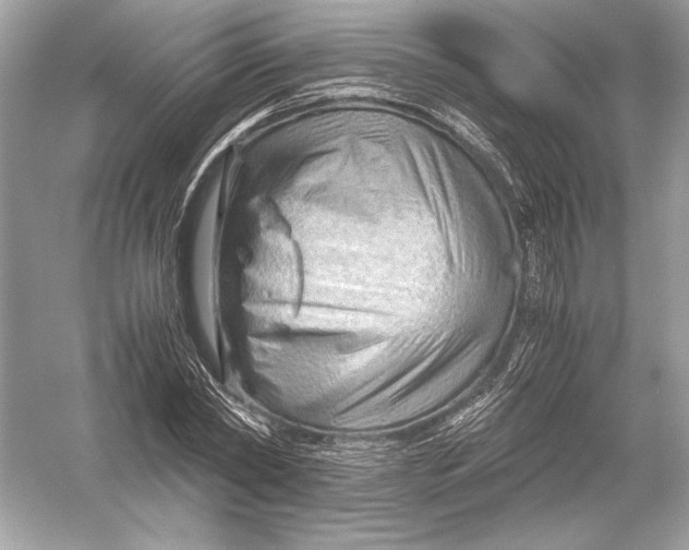 X0000051900782200507222041