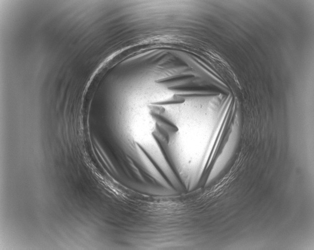 X0000051900784200507222041