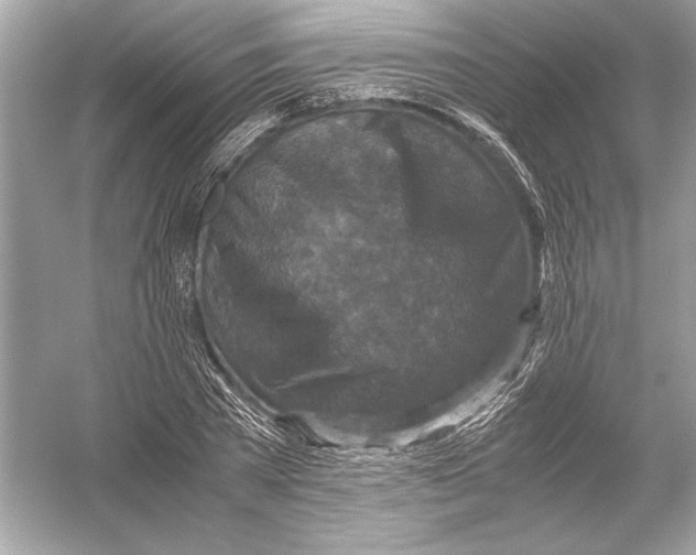 X0000051900785200507222041