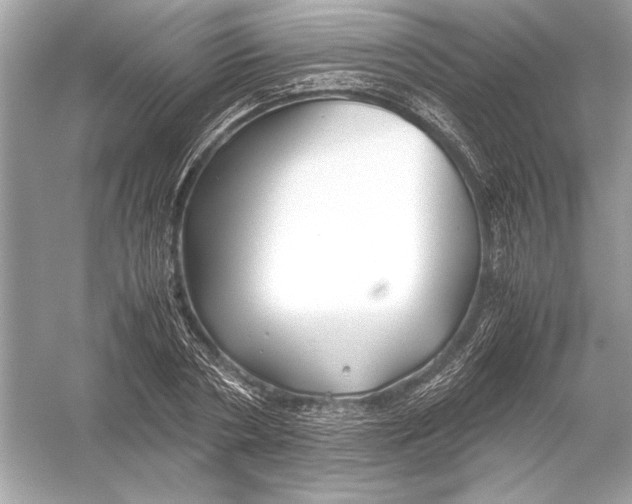 X0000051900786200507222041