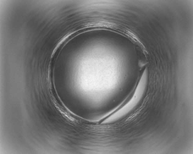X0000051900788200507222041