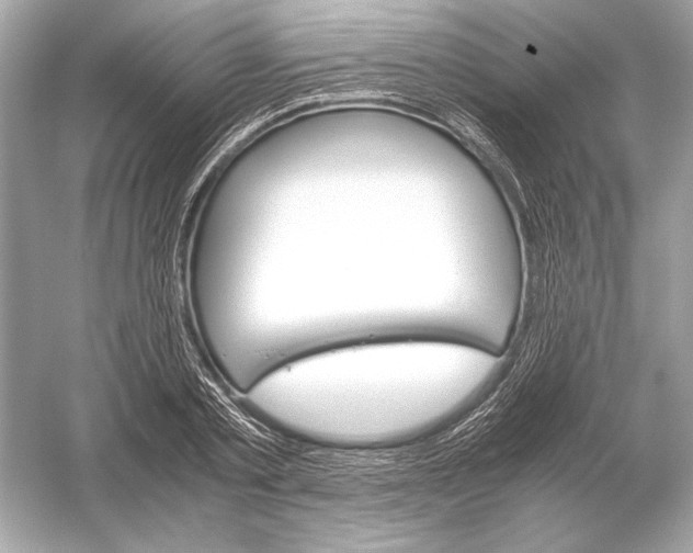 X0000051900789200507222041