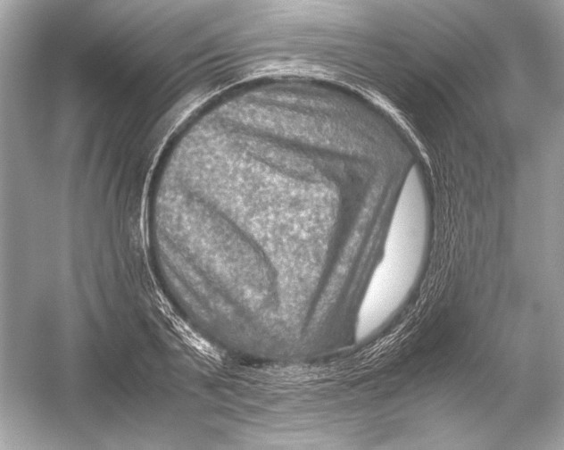X0000051900791200507222041