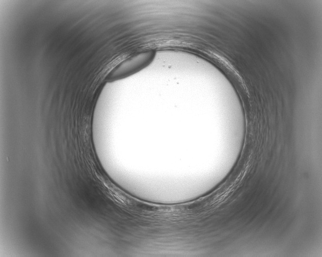 X0000051900793200507222041