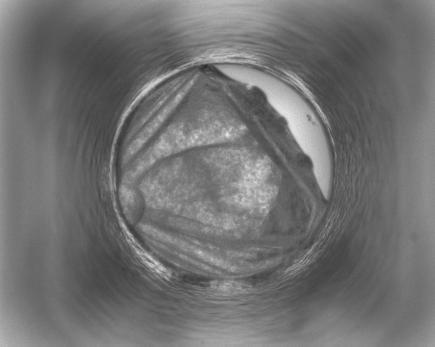 X0000051900795200507222041
