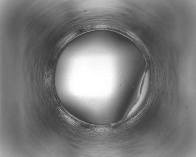 X0000051900801200507222040