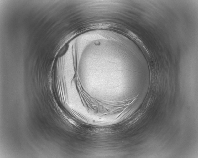 X0000051900802200507222040