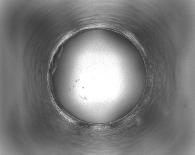 X0000051900805200507222040
