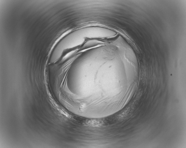 X0000051900806200507222040