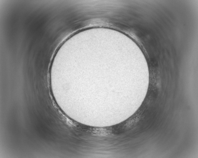 X0000051900807200507222040