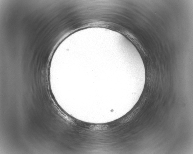 X0000051900808200507222040