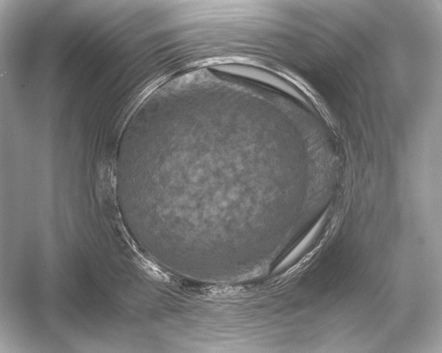 X0000051900809200507222040