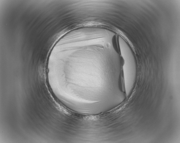 X0000051900810200507222040