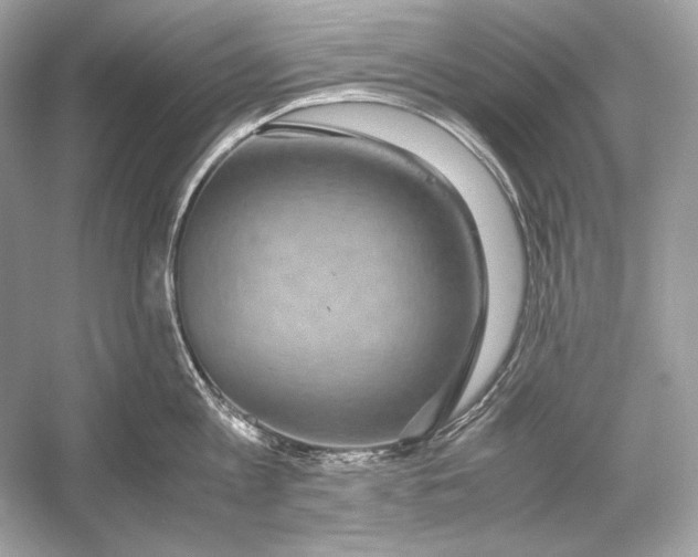 X0000051900813200507222040