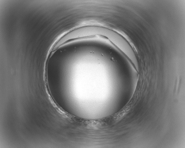 X0000051900815200507222040