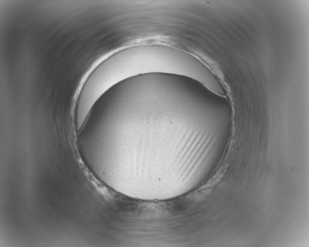 X0000051900816200507222040