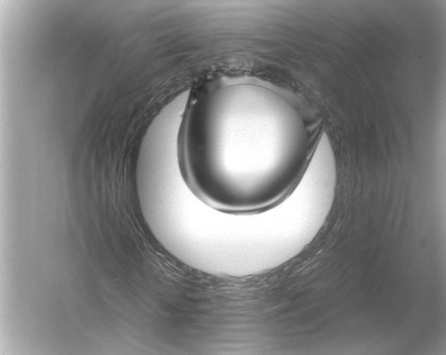 X0000051900818200507222039