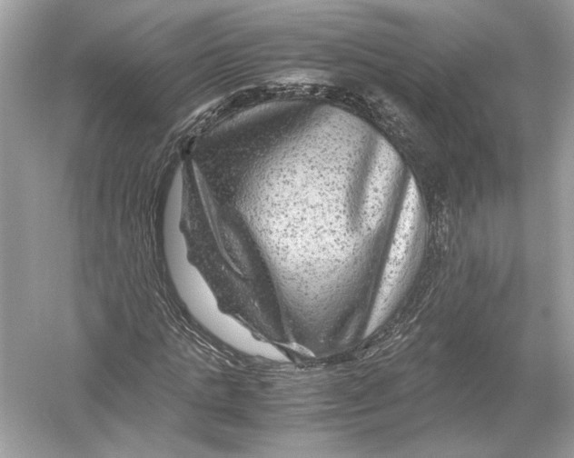 X0000051900821200507222039