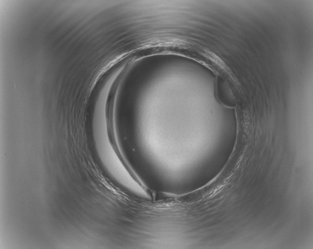 X0000051900826200507222039