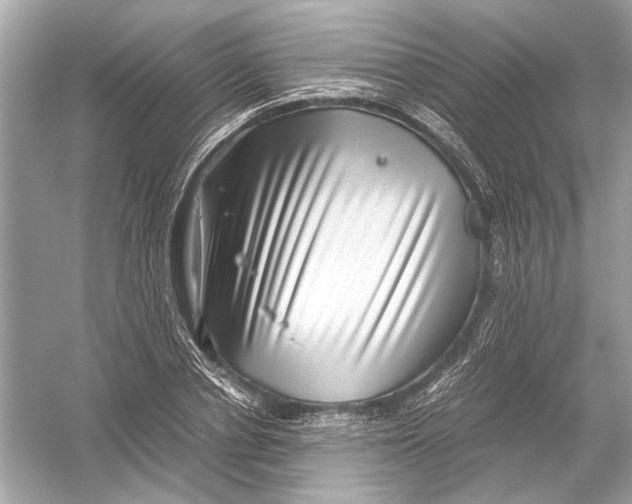 X0000051900834200507222040