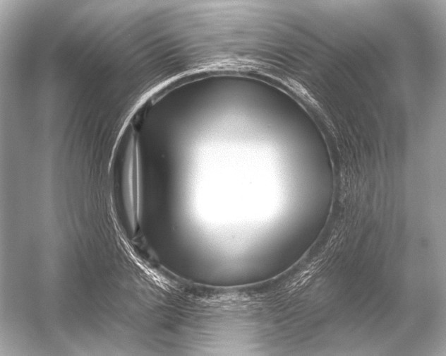 X0000051900838200507222040