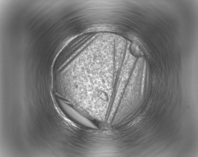 X0000051900844200507222040