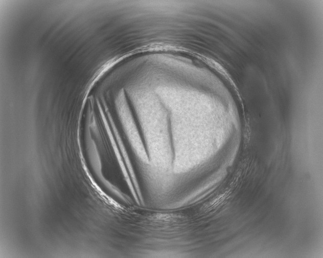 X0000051900847200507222040