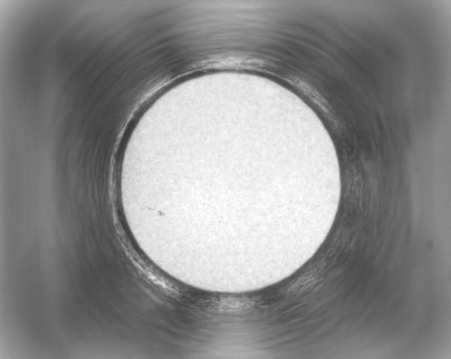 X0000051900848200507222040